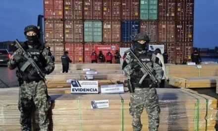CHILE INCAUTA 108 TONELADAS DE DROGA OCULTA EN MADERA PROCEDENTE DE BOLIVIA