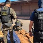 BRASIL ABRE INVESTIGACIÓN POR CARGAMENTO DE DROGA CAMUFLADO EN MADERA BOLIVIANA