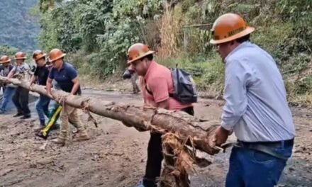 COOPERATIVAS MINERAS Y POLICÍA DESBLOQUEAN LA RUTA LA PAZ–CARANAVI EN TURCUKALA