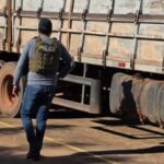 FELCN REFUERZA CONTROLES EN FRONTERA CON BRASIL POR CASO “NARCOMADERAS”