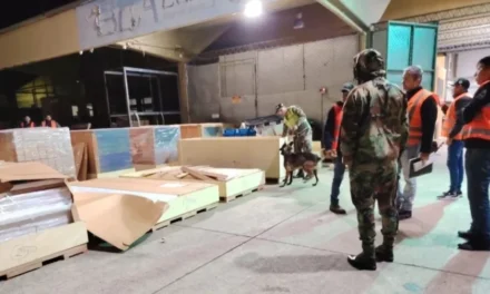 VIRU VIRU: OPERATIVO ANTIDROGA INTERCEPTA CARGAMENTO DE MADERA DESTINADO A MIAMI