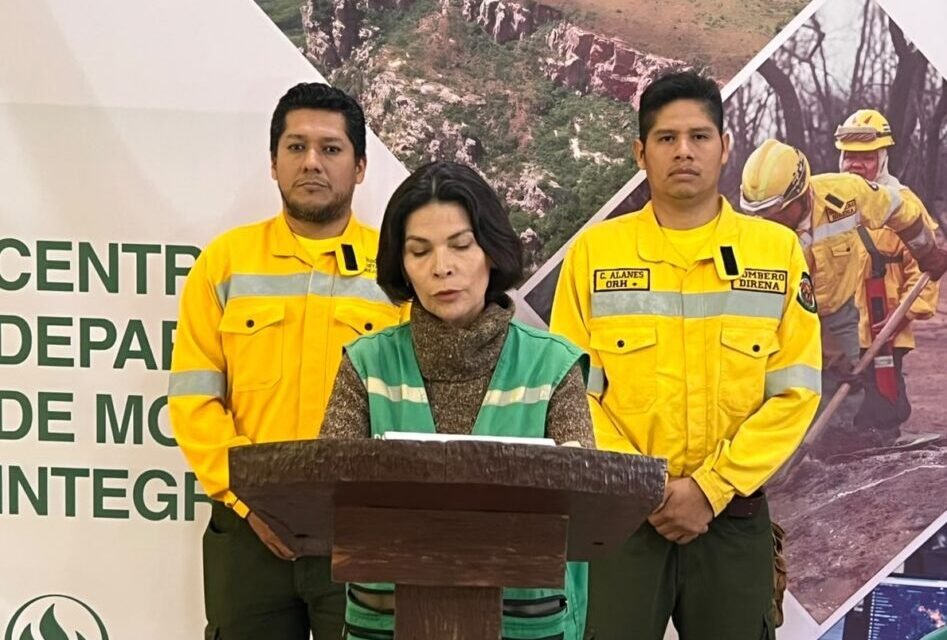 GOBERNACIÓN DECLARA ALERTA AMARILLA POR EL  RIESGO DE INCENDIOS FORESTALES