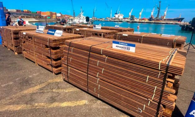 CASO «NARCOMADERA»: IMPORT EXPORT LIGURIA FUNCIONARÍA DESDE UNA “DIRECCIÓN FANTASMA” EN SANTA CRUZ