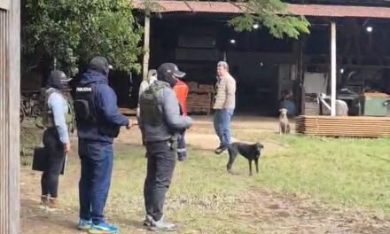 CASO «NARC0MADERAS»: FELCN Y FISCALÍA ALLANAN EMPRESA EN EL KM 9 DE LA ZONA NORTE