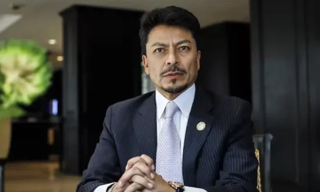 CANCILLER DENUNCIA ANTE LA OEA QUE LOS BLOQUEOS BUSCARON DESESTABILIZAR AL GOBIERNO
