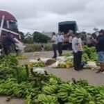 BANANEROS EXIGEN RESARCIMIENTO POR PÉRDIDAS DE $US 10 MILLONES TRAS BLOQUEOS