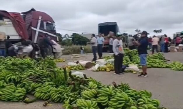 BANANEROS EXIGEN RESARCIMIENTO POR PÉRDIDAS DE $US 10 MILLONES TRAS BLOQUEOS