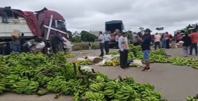 BANANEROS EXIGEN RESARCIMIENTO POR PÉRDIDAS DE $US 10 MILLONES TRAS BLOQUEOS