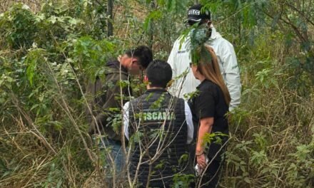 BEBÉ DE 10 DÍAS FUE HALLADA MUERTA EN WARNES; INVESTIGAN INFANTICIDIO