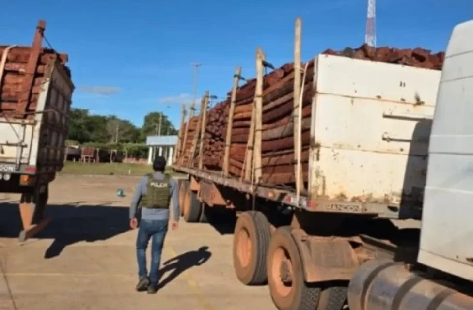 REFUERZAN OPERATIVOS CONTRA EL TRÁFICO DE MADERA EN FRONTERA CON BRASIL