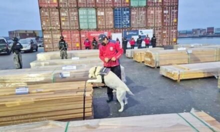 CASOS DE NARCOCARGAMENTOS DESNUDAN LA SEGURIDAD DE ESTADO