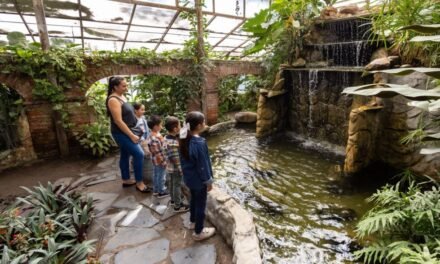 JARDÍN BOTÁNICO INVITA A DISFRUTAR LAS VACACIONES EN CONTACTO CON LA NATURALEZA