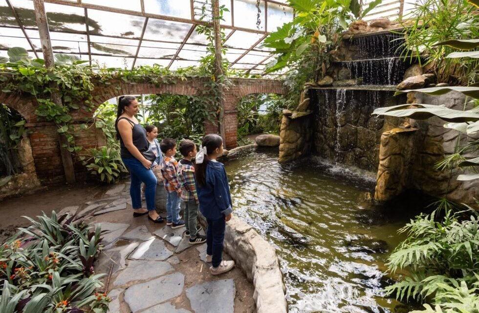JARDÍN BOTÁNICO INVITA A DISFRUTAR LAS VACACIONES EN CONTACTO CON LA NATURALEZA