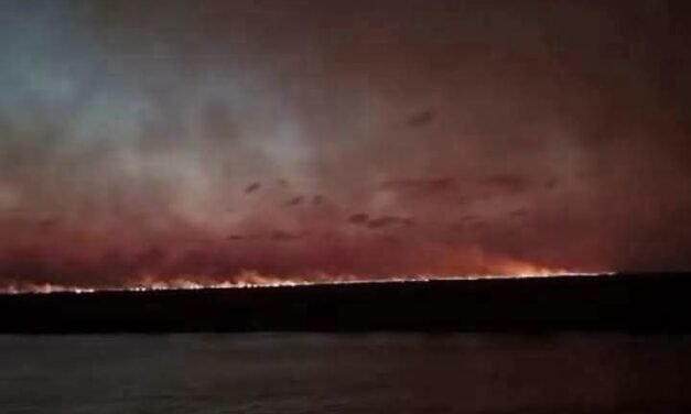 PARQUE OTUQUIS BAJO AMENAZA POR INCENDIO FORESTAL PROVENIENTE DE BRASIL