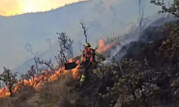 MINISTRO DE DEFENSA SOBREVUELA ZONA DEL INCENDIO EN TARIJA