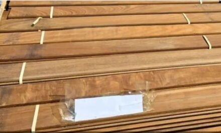 LIBERAN CAMIONES CON MADERA BOLIVIANA RETENIDOS EN CHILE Y BRASIL