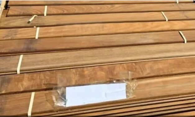 LIBERAN CAMIONES CON MADERA BOLIVIANA RETENIDOS EN CHILE Y BRASIL