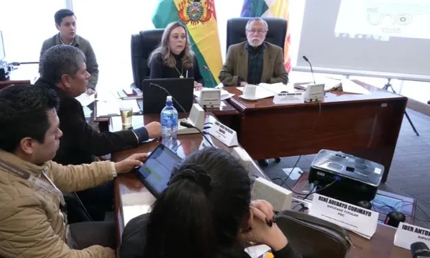 DIPUTADOS APRUEBAN LEY PARA REACTIVAR ELECCIÓN DE MAGISTRADOS DEL TCP Y TSJ