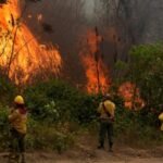 BOLIVIA REGISTRA 805 FOCOS DE CALOR Y SANTA CRUZ CONCENTRA LA MAYOR ALERTA