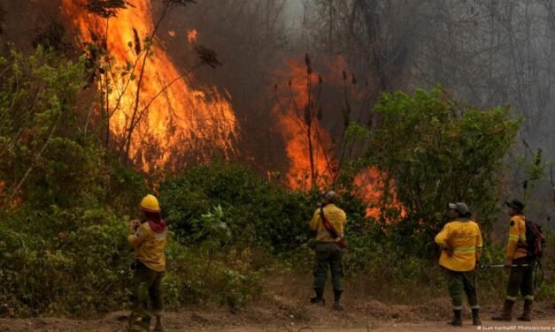 BOLIVIA REGISTRA 805 FOCOS DE CALOR Y SANTA CRUZ CONCENTRA LA MAYOR ALERTA
