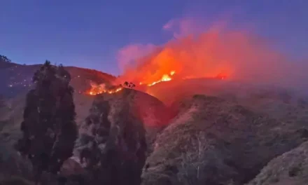 INCENDIO EN TOTORA ARRASA 70 HECTÁREAS Y PONEN EN EVALUACIÓN LA DECLARATORIA DE EMERGENCIA