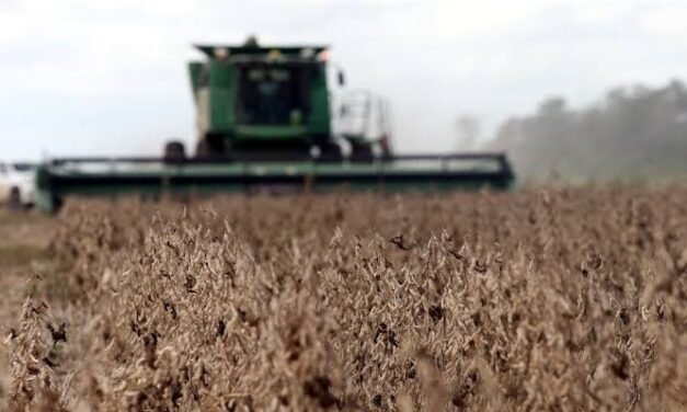 ANAPO ALERTA POR FALTA DE COMBUSTIBLE PARA LA COSECHA DE INVIERNO EN SANTA CRUZ