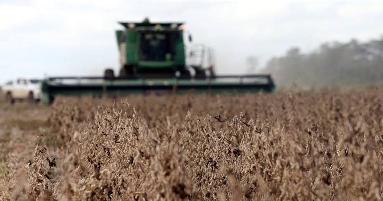 ANAPO ALERTA POR FALTA DE COMBUSTIBLE PARA LA COSECHA DE INVIERNO EN SANTA CRUZ