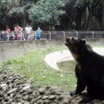 ZOOLÓGICO MUNICIPAL CERRARÁ ESTE LUNES PARA EL DESCANSO Y BIENESTAR DE LOS ANIMALES