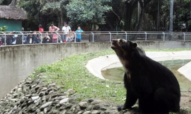 ZOOLÓGICO MUNICIPAL CERRARÁ ESTE LUNES PARA EL DESCANSO Y BIENESTAR DE LOS ANIMALES