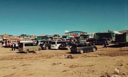 DIPUTADO CHILENO CUESTIONA PLAN DE NACIONALIZAR VEHÍCULOS INDOCUMENTADOS EN BOLIVIA