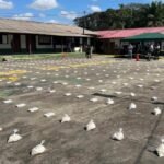 FELCN GOLPEA AL NARCOTRÁFICO CON CINCO OPERATIVOS Y MÁS DE $US 1,7 MILLONES AFECTADOS