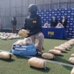 BOLIVIANO ES APREHENDIDO EN CHILE TRAS INCAUTACIÓN DE 805 KILOS DE MARIHUANA