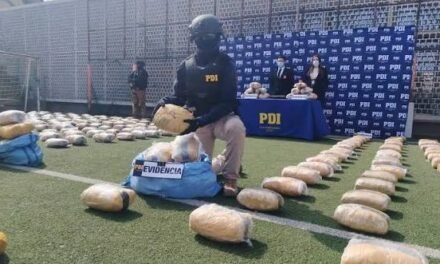 BOLIVIANO ES APREHENDIDO EN CHILE TRAS INCAUTACIÓN DE 805 KILOS DE MARIHUANA