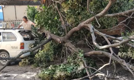 ALCALDÍA REPORTA 11 EMERGENCIAS ATENDIDAS POR VIENTOS EN SANTA CRUZ