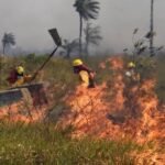 INCENDIO EN OTUQUIS MOVILIZA BRIGADAS PARA FRENAR AVANCE DEL FUEGO