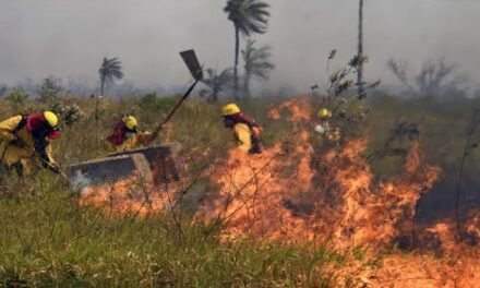 INCENDIO EN OTUQUIS MOVILIZA BRIGADAS PARA FRENAR AVANCE DEL FUEGO