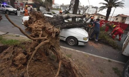 FUERTES VIENTOS DERRIBAN ÁRBOLES Y CAUSAN DAÑOS EN VEHÍCULOS EN COCHABAMBA