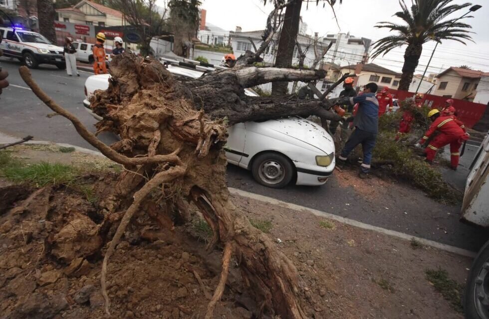 FUERTES VIENTOS DERRIBAN ÁRBOLES Y CAUSAN DAÑOS EN VEHÍCULOS EN COCHABAMBA