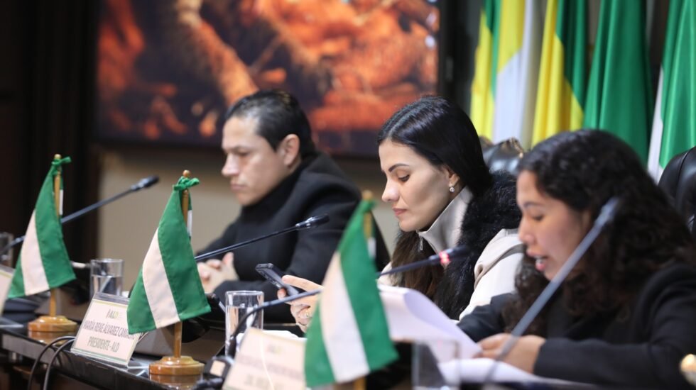 ASAMBLEA CRUCEÑA RECHAZA DESIGNACIÓN DE MAGISTRADOS DEL TSJ Y TCP