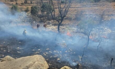 TARIJA: FISCALÍA ABRE CINCO INVESTIGACIONES POR INCENDIOS FORESTALES