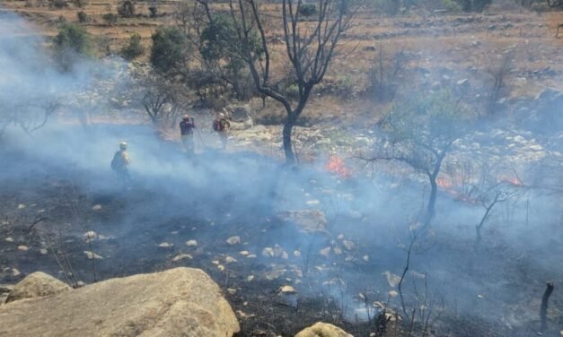 TARIJA: FISCALÍA ABRE CINCO INVESTIGACIONES POR INCENDIOS FORESTALES