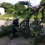 FUERTES VIENTOS DEJAN 11 EMERGENCIAS ATENDIDAS EN SANTA CRUZ