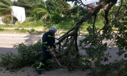 FUERTES VIENTOS DEJAN 11 EMERGENCIAS ATENDIDAS EN SANTA CRUZ
