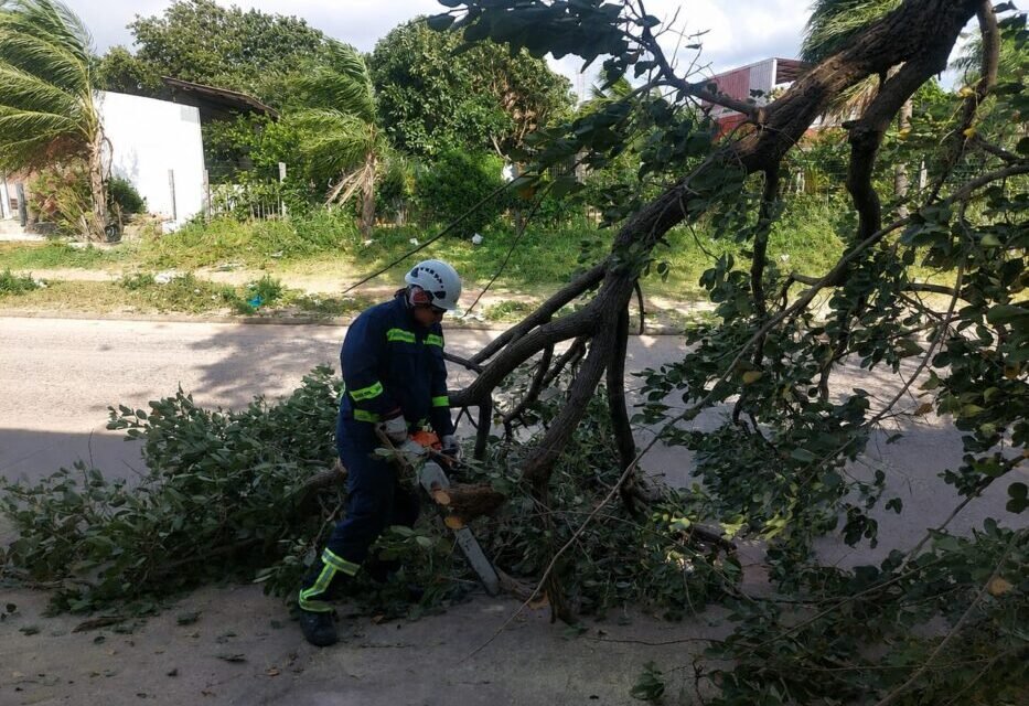FUERTES VIENTOS DEJAN 11 EMERGENCIAS ATENDIDAS EN SANTA CRUZ