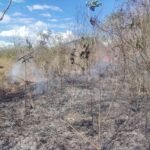 BOMBEROS FRENAN INCENDIO FORESTAL EN PUERTO SUÁREZ