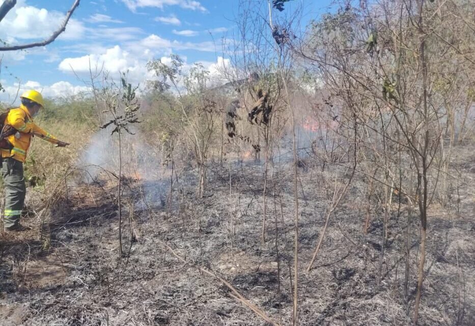 BOMBEROS FRENAN INCENDIO FORESTAL EN PUERTO SUÁREZ