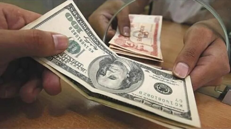 DÓLAR A BS 12,15: ¿IMPROVISACIÓN ECONÓMICA O NEGOCIO BIEN CALCULADO?