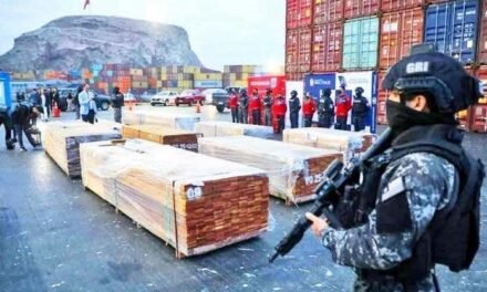 RODRIGO PAZ CUESTIONA DAÑO A EXPORTADORES TRAS DESCARTARSE DROGA EN CASO “NARCOMADERAS”