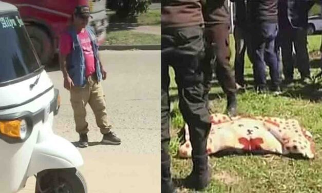 DETENCIÓN DOMICILIARIA PARA LA MADRE DEL BEBÉ QUE MURIÓ TRAS CAER DE UN «TORITO»
