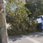 ALCALDÍA REPORTA ATENCIÓN DE EMERGENCIAS TRAS EL PASO DE FUERTES VIENTOS